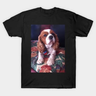 Roxy T-Shirt